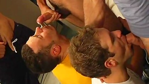 Stunning Boyfriend Is Standing On The Knees And Suck