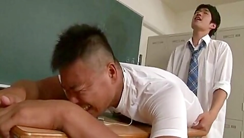 Rimming XXX Videos (19529)